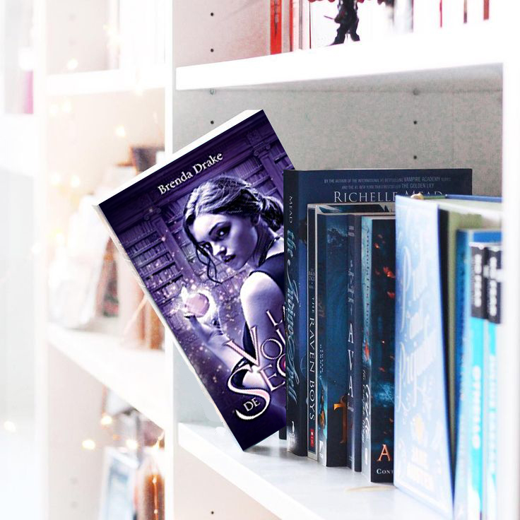 La voleuse de secrets – Brenda Drake